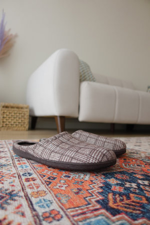 A Cozy and Inviting Living Room Featuring Slippers on a Vibrant Rugの写真素材
