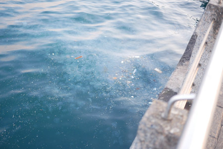 Sea water pollution with garbage