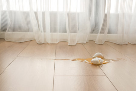Fresh broken egg in kitchen floorの写真素材