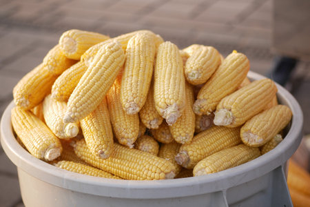 Stacked sweet corn on the cob sits on the table, a staple food in cuisine