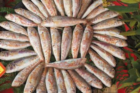 Freshly Caught Fish Beautifully Arranged in a Decorative Pattern to Admire
