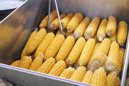 Enjoy freshly steamed corn on the cob for a delightful snackの写真素材