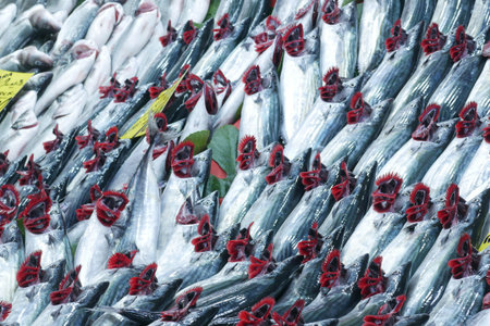 Freshly Caught Fish Displayed In Market with Bright Red Highlights
