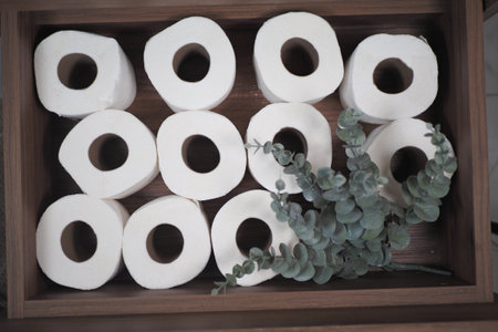 Wooden Crate with Arrangement of Toilet Paper Rolls and Green Foliageの写真素材
