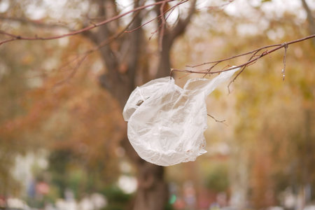 Plastic bag in tree branchesの写真素材