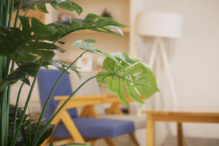 Green plants add freshness to a modern living room setup..の写真素材
