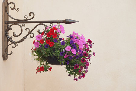Vibrant hanging flower basket in a serene outdoor settingの写真素材