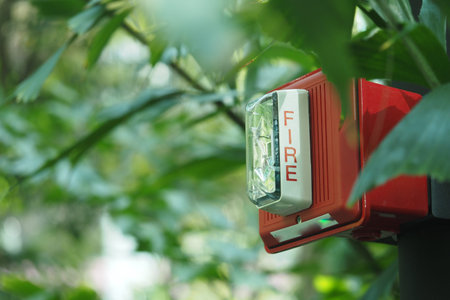 Fire alarm alert located amidst lush green foliage in a public area