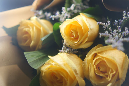 Yellow roses arranged with greenery for a special occasionの写真素材