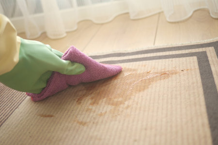 Cleaning a carpet stain using a cloth in a sunlit roomの写真素材