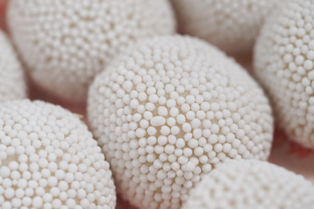 Unique white spherical structures with textured surfaces on display