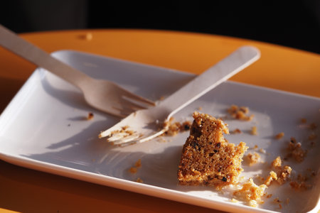 Dessert plate with leftover cake at a cafe table in afternoon lightの写真素材