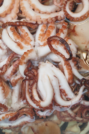 Fresh octopus in a market display during morning hours