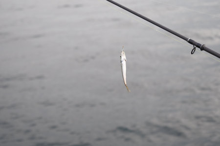 Fisherman catches a small fish while fishing in calm watersの写真素材