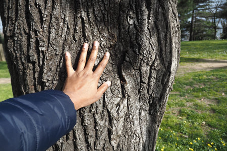 Hand touching the rough bark of a tree in a park setting