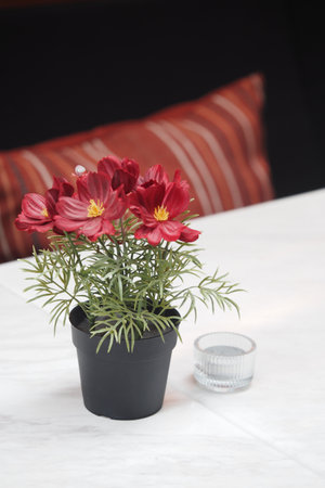 Colorful flowers in a pot on a table with a candle holder nearbyの写真素材