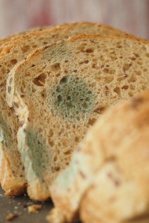 Moldy bread slices displayed on a wooden table in natural lightの写真素材