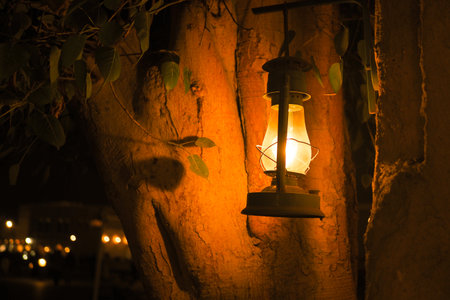 Lantern lights up tree trunk at evening outdoor gatheringの写真素材
