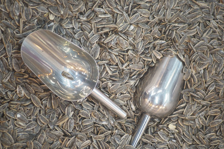 Nature-inspired seed harvesting toolsの写真素材