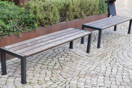 Benches placed along a cobblestone pathway in a park settingの写真素材