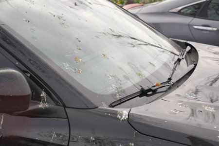 Birds leave mess on parked car in city parking lot during day