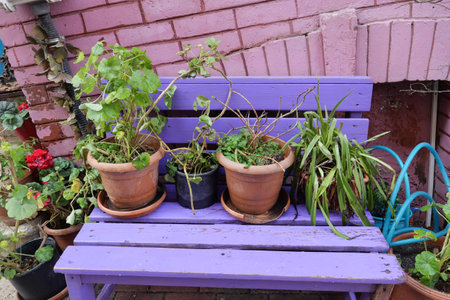 Colorful garden bench with potted plants in a vibrant outdoor settingの写真素材
