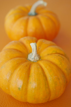 Orange pumpkins on a vibrant orange background ready for harvestの写真素材