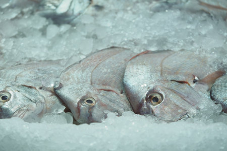 Fresh fish displayed on ice at a market in the morning sunの写真素材