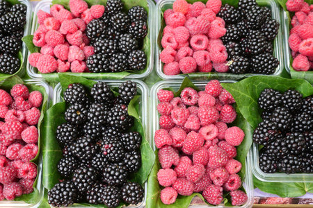 Fresh berries displayed in containers at a local marketの写真素材