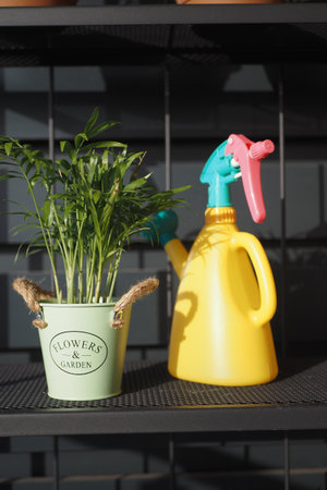 Colorful plant care with a green bucket and yellow spray bottleの写真素材