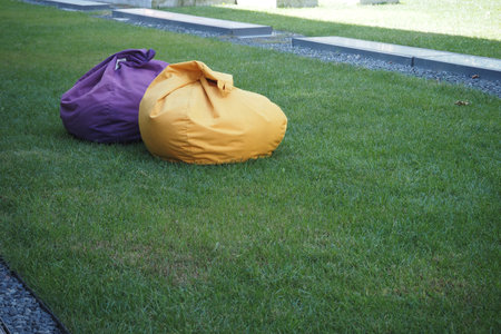 Colorful bean bags resting on a grassy lawn near stone pathの写真素材