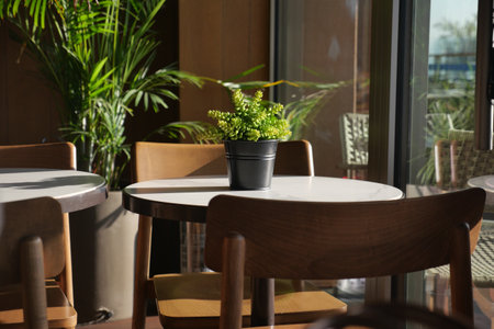 cafe interior with potted plant on table during bright daylightの写真素材