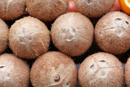 Close-Up of Fresh Coconuts with Brown Textured Shells in a Market Displayの写真素材