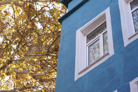 Colorful blue building with window and autumn leaves nearbyの写真素材
