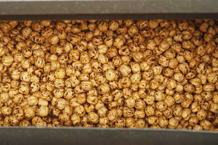 Freshly roasted chickpeas in a large metal container ready for saleの写真素材