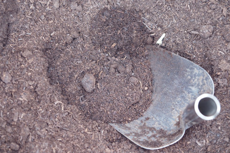 Gardening activity with shovel in soil during daylight hoursの写真素材