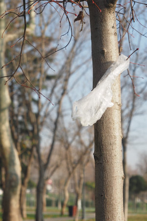 Plastic bag caught on a tree branch in a park during early springの写真素材