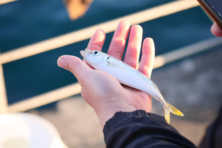 Holding a small fish by the hand near water at sunsetの写真素材