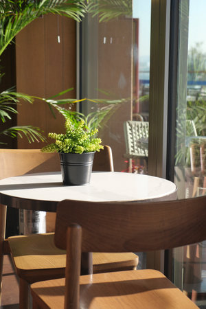 Cozy indoor seating arrangement with a potted plant and sunlightの写真素材