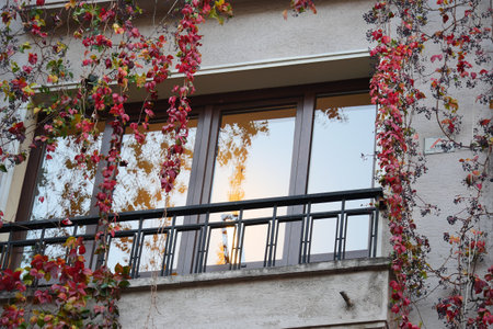 Vibrant autumn leaves frame a balcony in late afternoon lightの写真素材