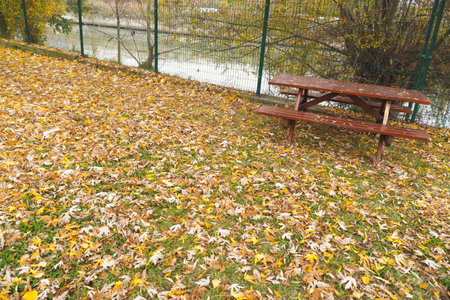 Autumn leaves blanket the ground by a lakeside picnic tableの写真素材