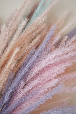 Soft pastel pampas grass arranged in a beautiful displayの写真素材