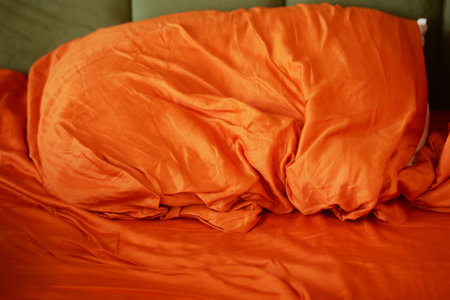 Cozy orange bedding creates a warm atmosphere in a bedroomの写真素材