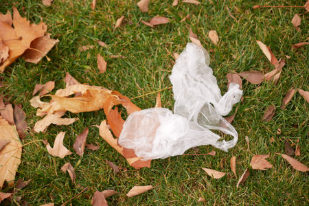 Plastic bag discarded among autumn leaves in a park settingの写真素材