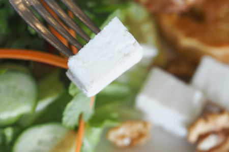 Delicious block of cheese on a fork with salad and vegetablesの写真素材