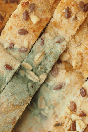 Moldy bread sticks with various seeds and nuts displayed close up