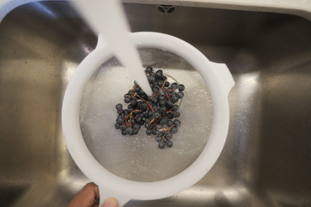 Washing fresh black grapes in a kitchen sink before preparation