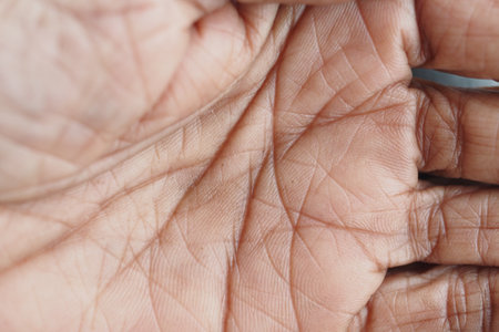 Detailed view of a human palm with visible lines and texturesの写真素材