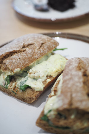 Freshly made sandwich with creamy filling and leafy greensの写真素材