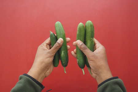 Hands holding cucumbers against a red backgroundの写真素材